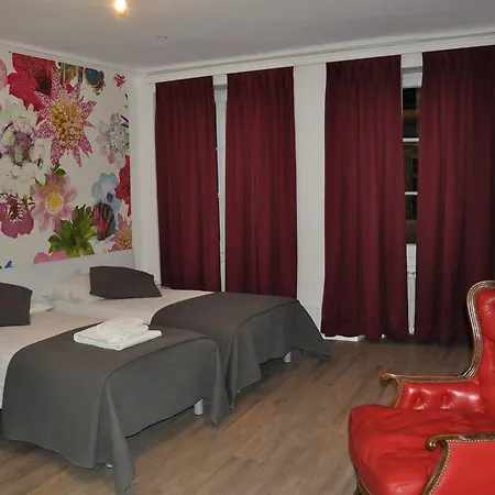 Hotel Du Raisin Losanna