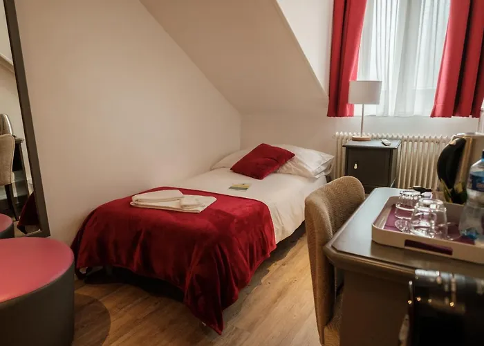 Hotel Du Raisin Lozanna