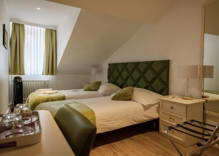 Hotel Du Raisin Lozanna