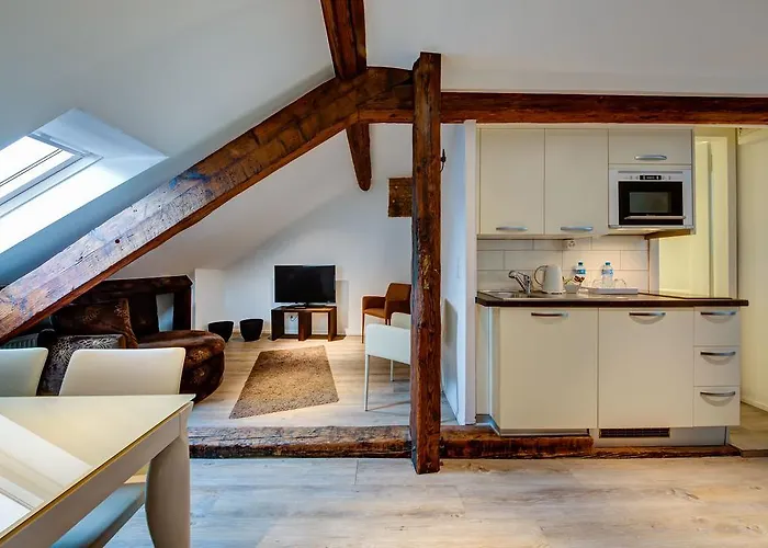 Du Raisin Hotel Lozanna