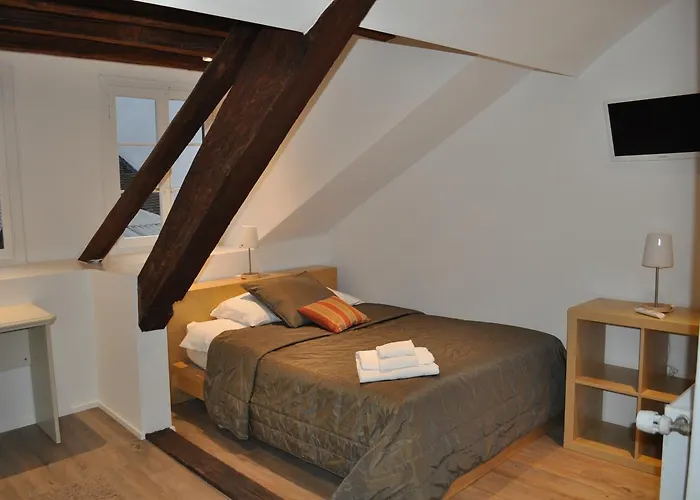 Du Raisin Hotel Lozanna