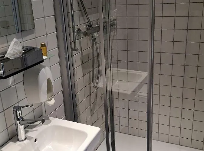 酒店 Du Raisin 洛桑