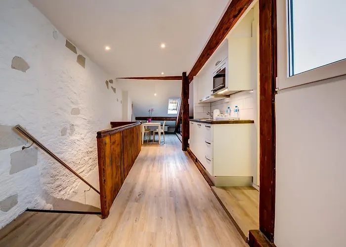 فندق Du Raisin لوزان