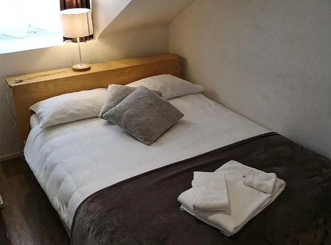 فندق Du Raisin 2*